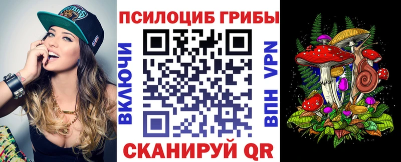 MEGA онион  сколько стоит  Севск  Галлюциногенные грибы Magic Shrooms 
